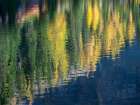 Washington State-North Cascades-Blue Lake-Larch tree reflections Landscape Print